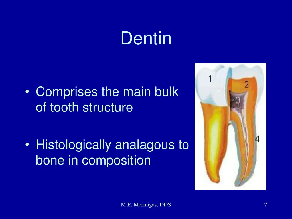 dentin