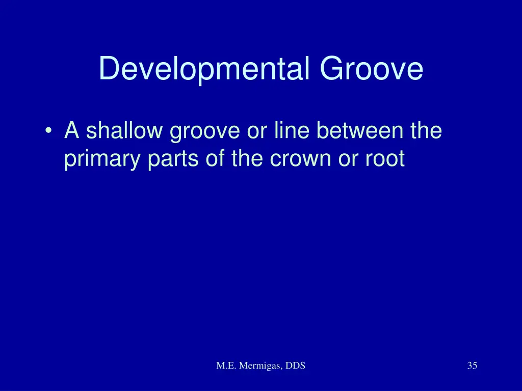 developmental groove