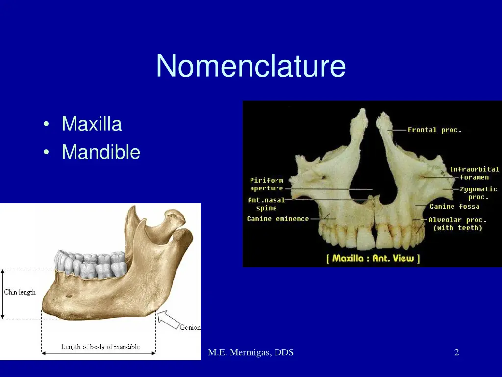 nomenclature