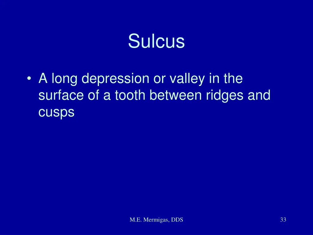 sulcus