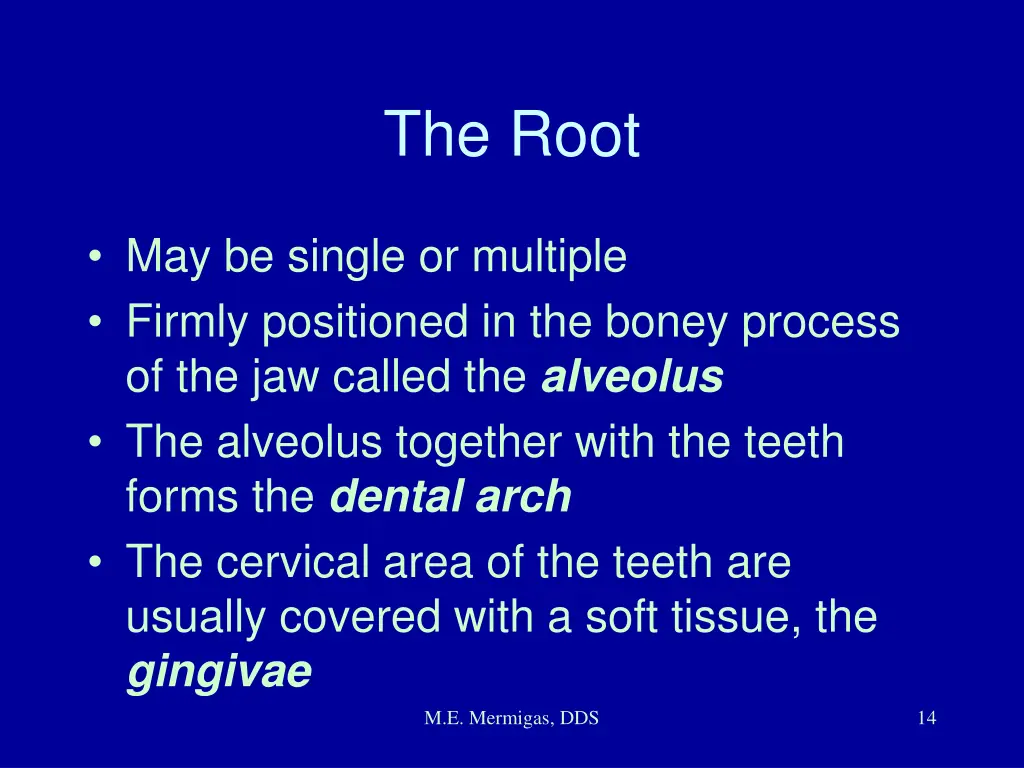 the root