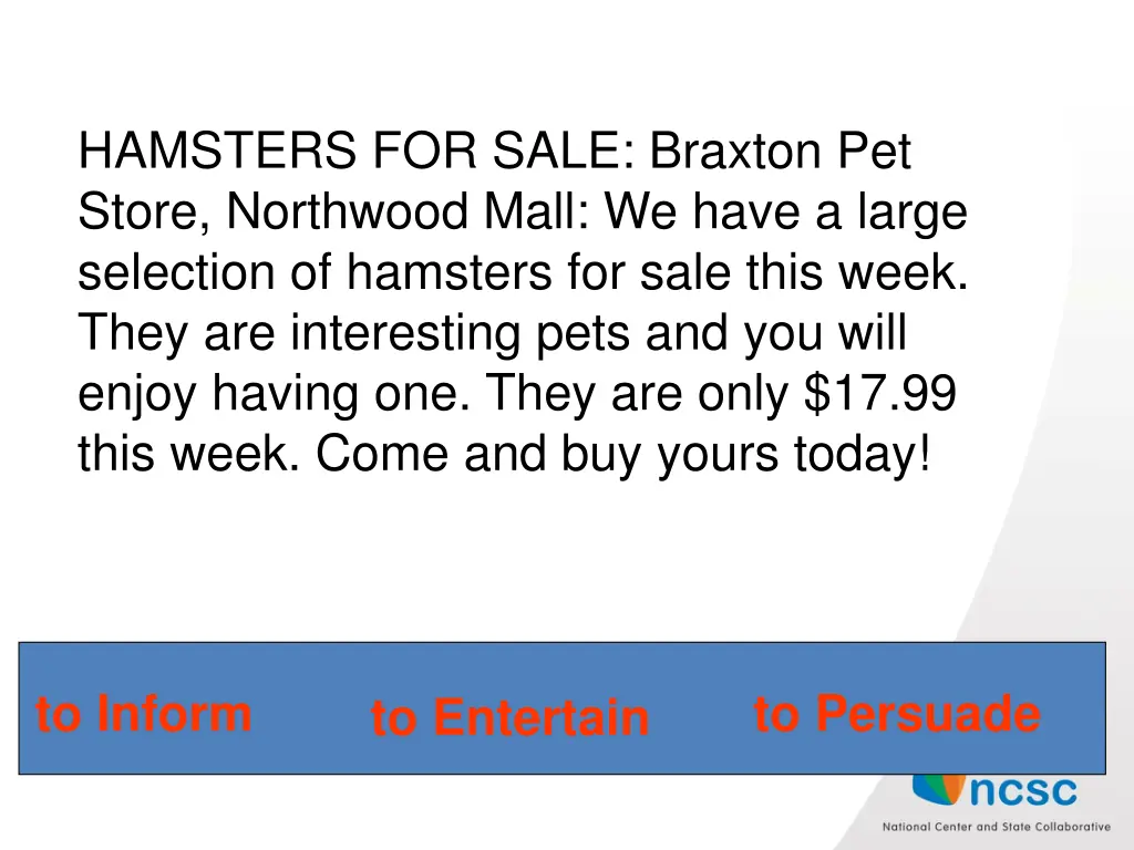 hamsters for sale braxton pet store northwood