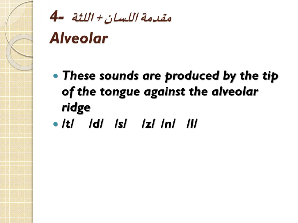 4 alveolar