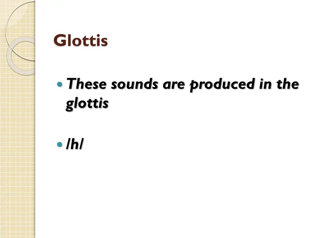 glottis