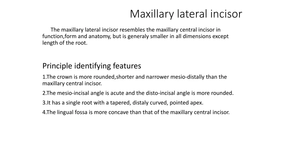 maxillary lateral incisor