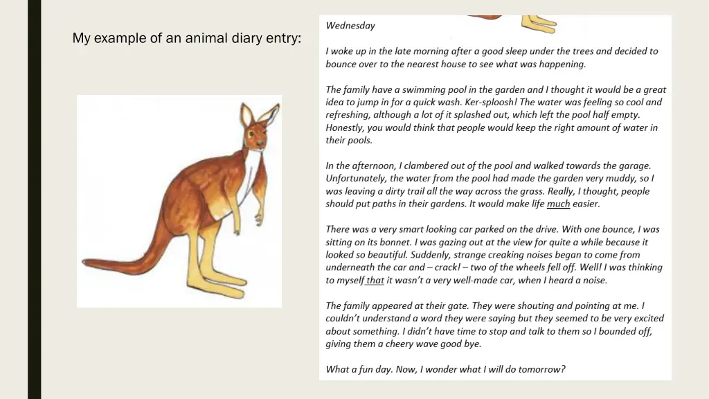 my example of an animal diary entry