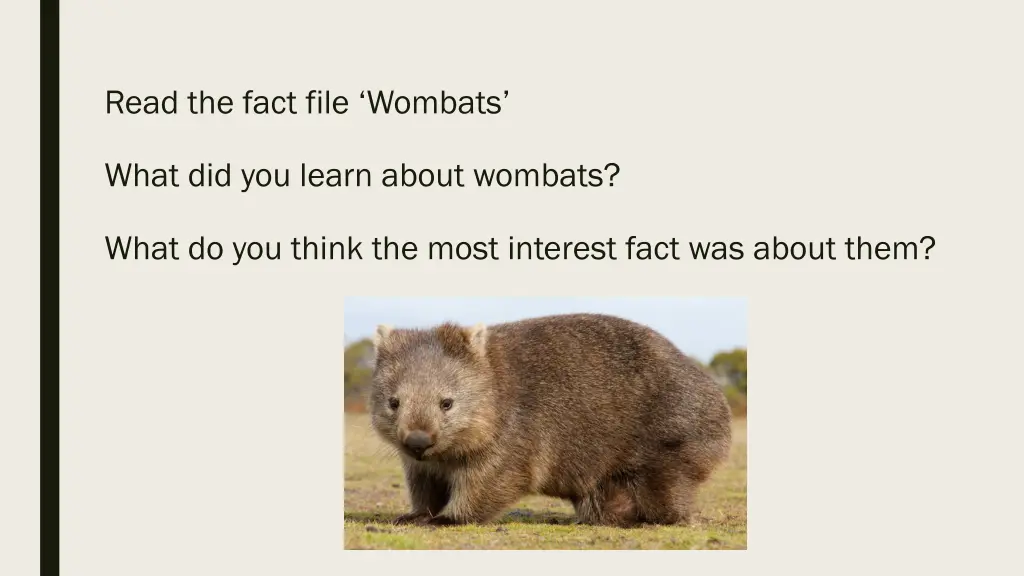 read the fact file wombats