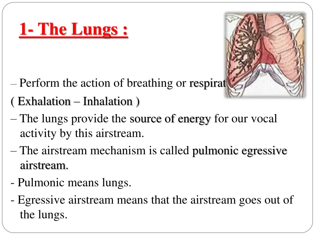 1 the lungs