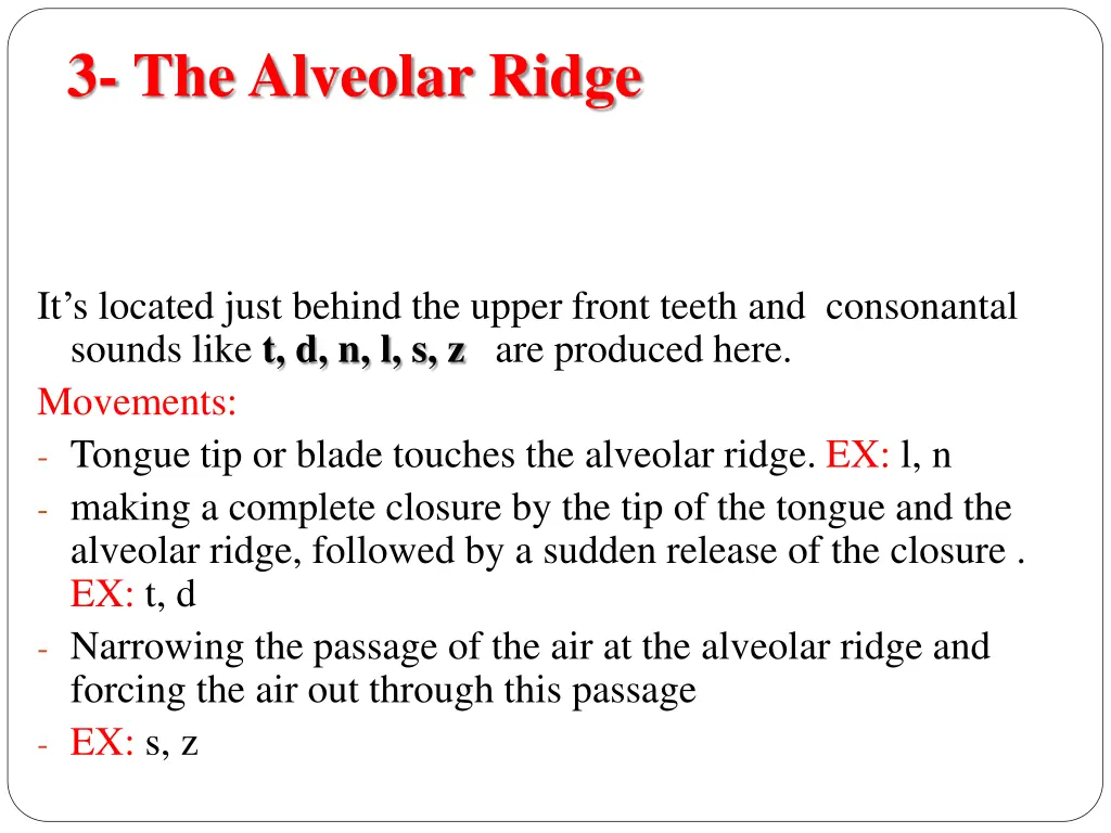 3 the alveolar ridge