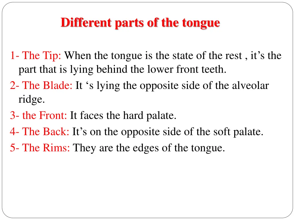 different parts of the tongue