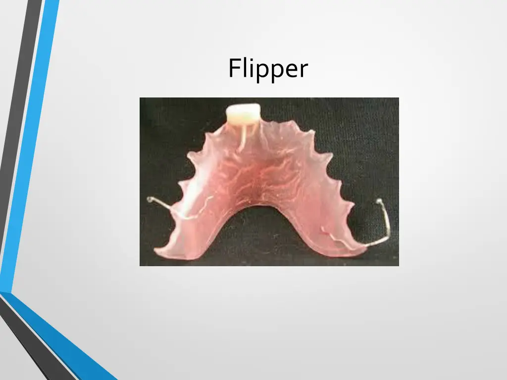 flipper