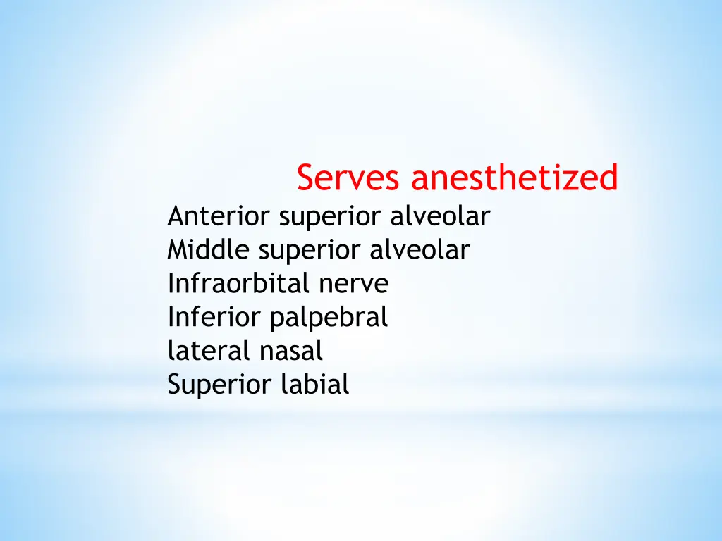 serves anesthetized anterior superior alveolar