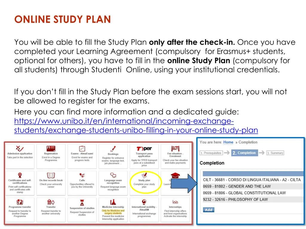 online study plan