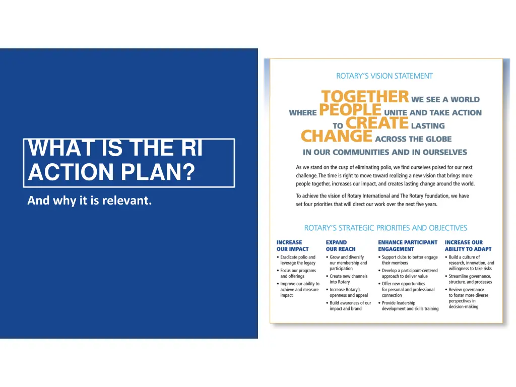 what is the ri action plan 1