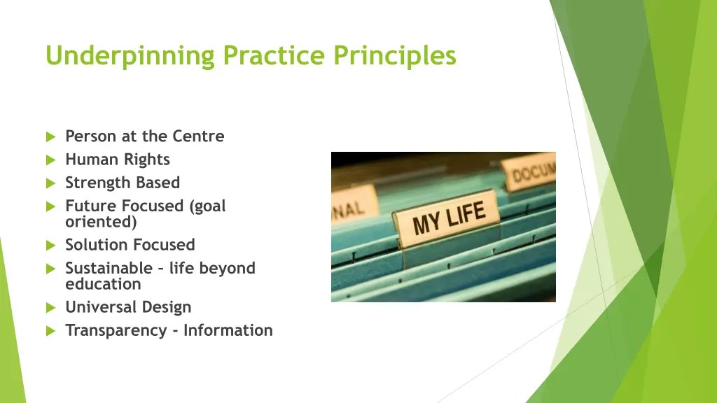 underpinning practice principles