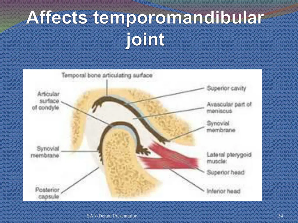 san dental presentation 29