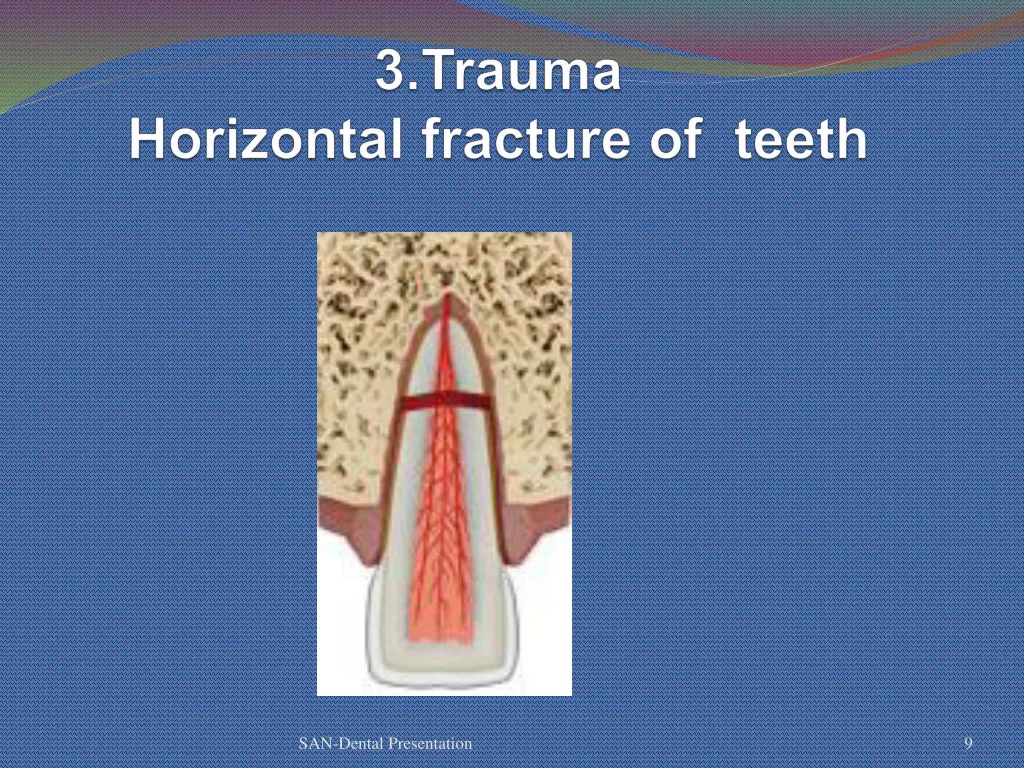 san dental presentation 6