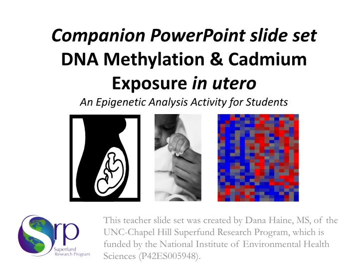 companion powerpoint slide set dna methylation