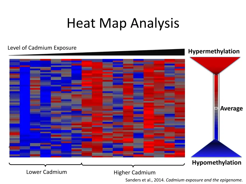 heat map analysis