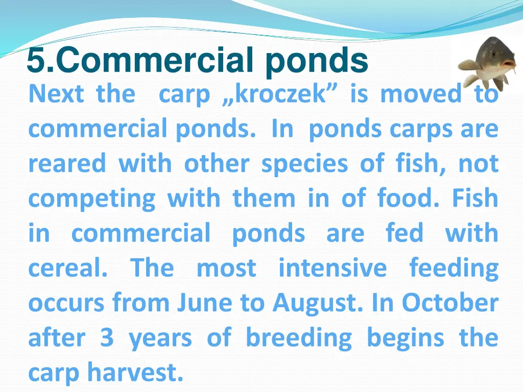 5 commercial ponds next the carp kroczek is moved