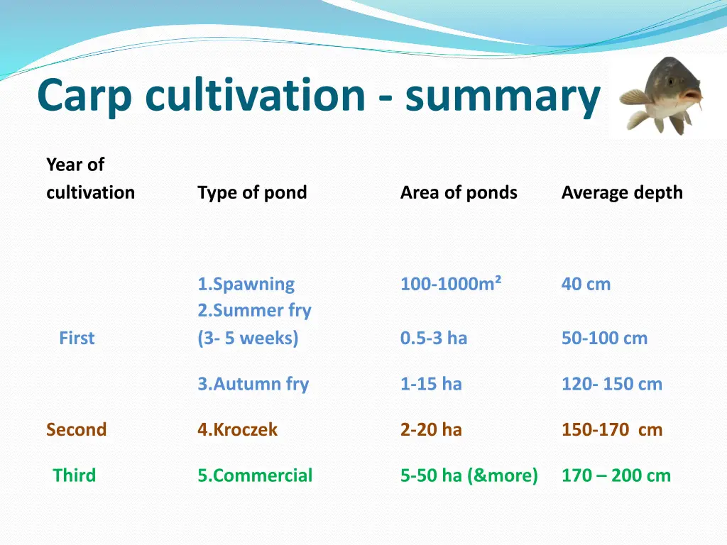 carp cultivation summary