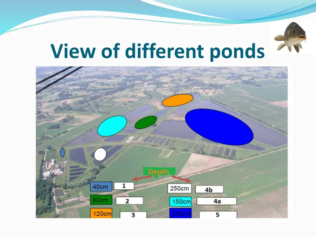 view of different ponds