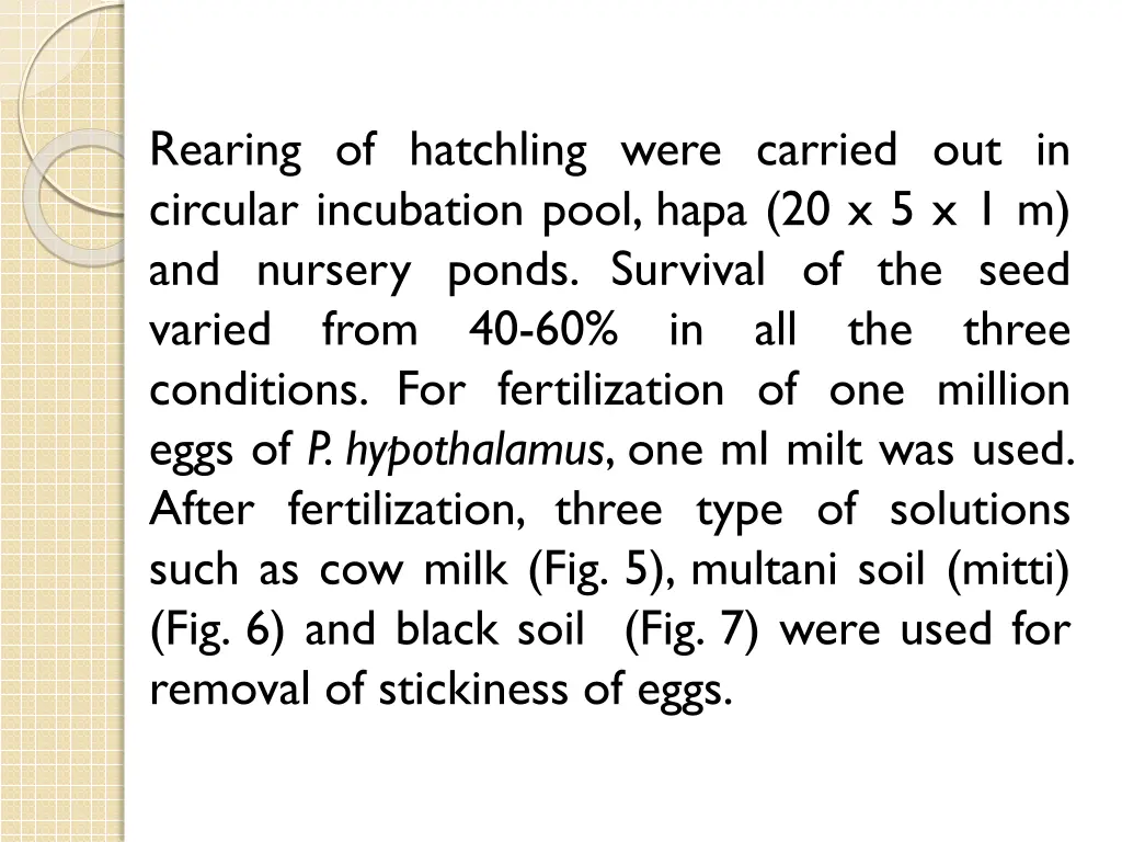 rearing of hatchling were carried out in circular