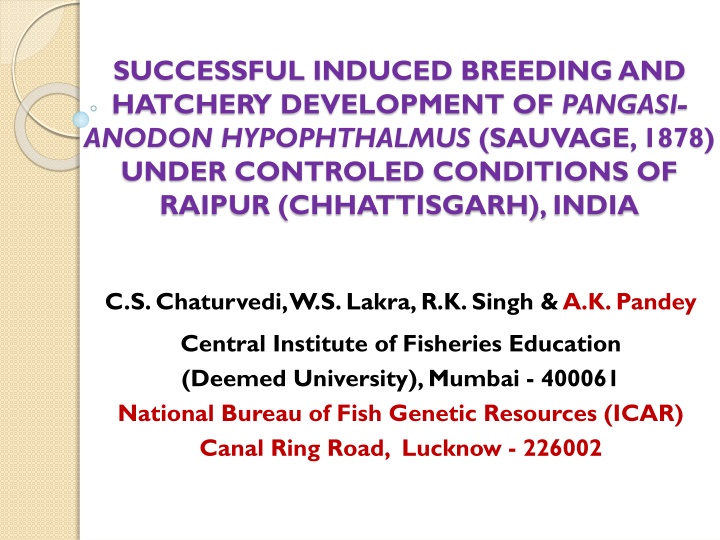 successful induced breeding and hatchery