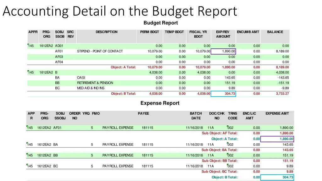 accounting detail on the budget report