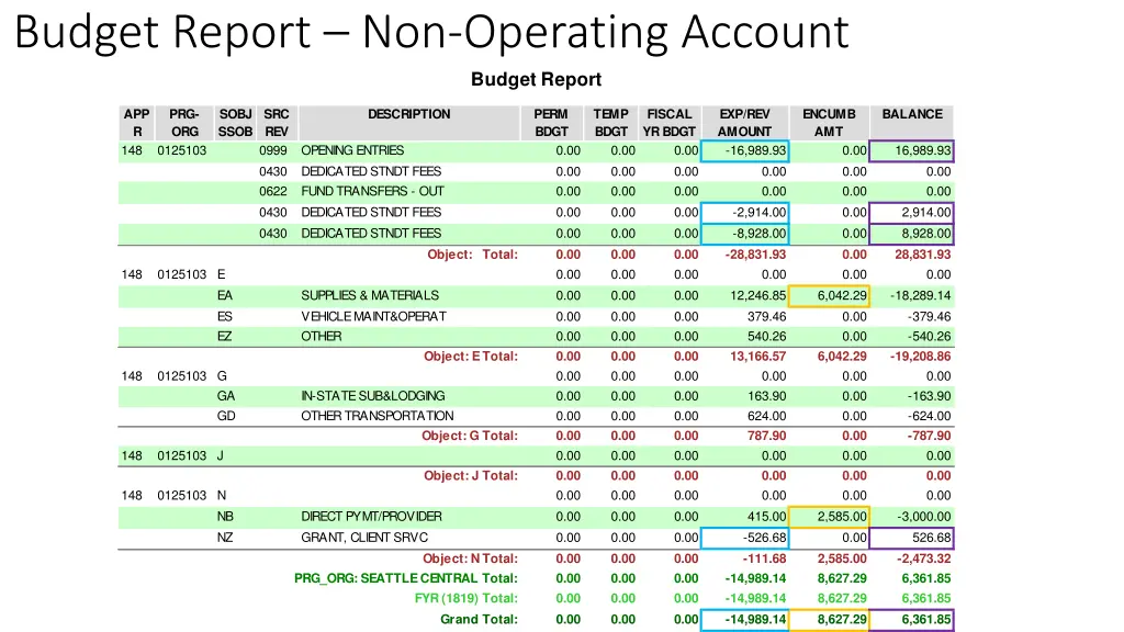 budget report non operating account