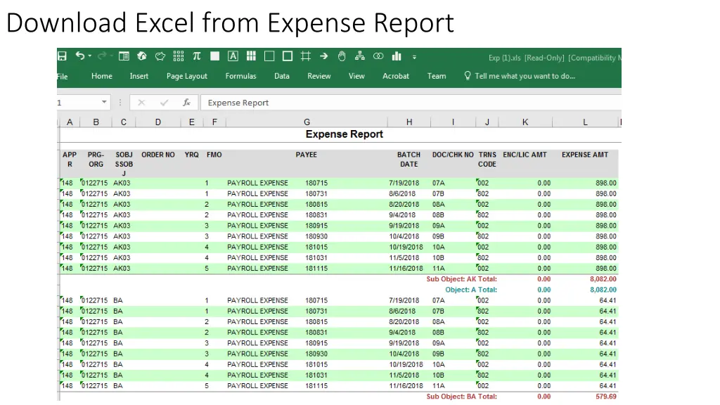 download excel from expense report