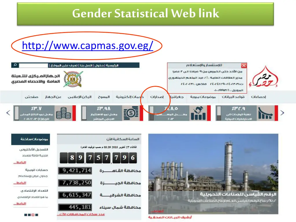 gender statistical web link