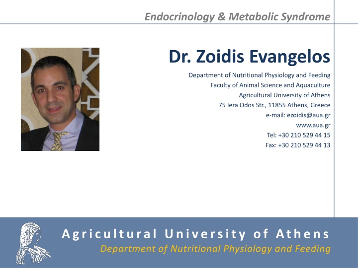 endocrinology metabolic syndrome