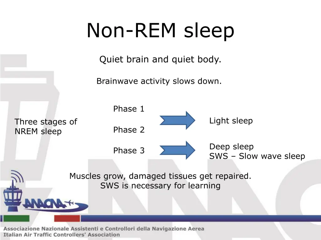 non rem sleep