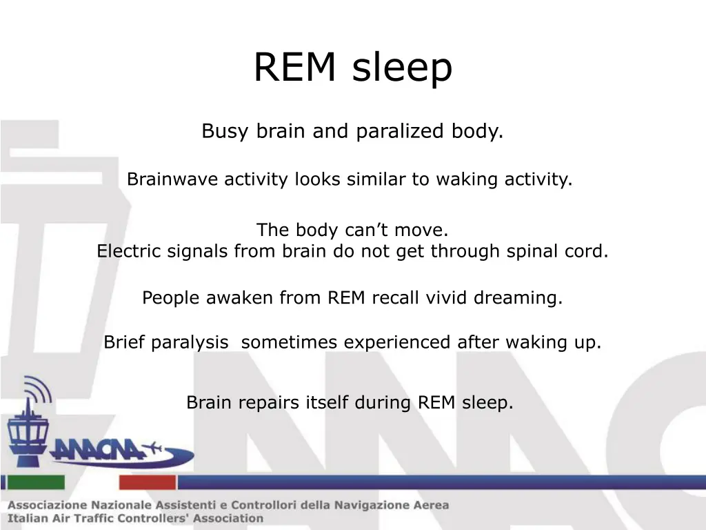 rem sleep