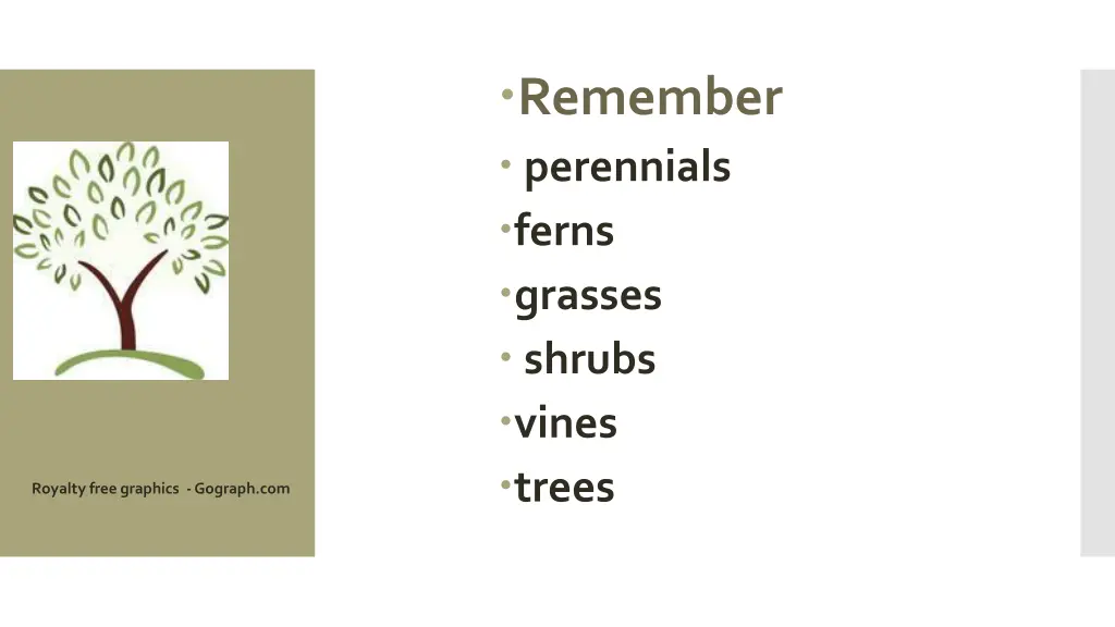 remember perennials ferns grasses shrubs vines