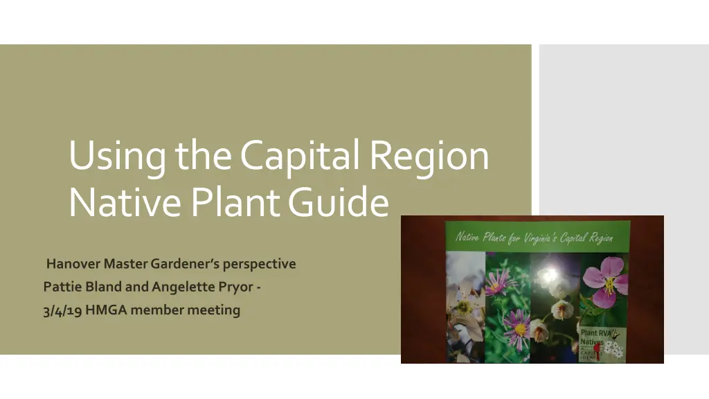 using the capital region native plant guide