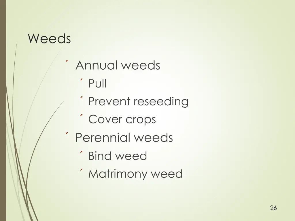 weeds