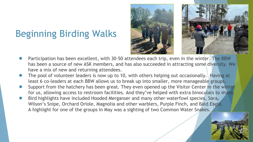 beginning birding walks