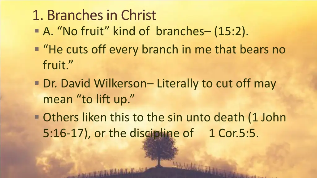 1 branches in christ a no fruit kind of branches