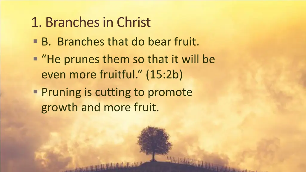 1 branches in christ b branches that do bear