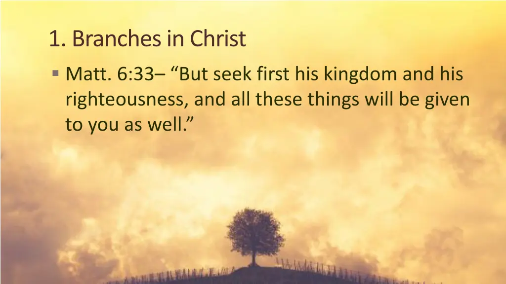 1 branches in christ matt 6 33 but seek first