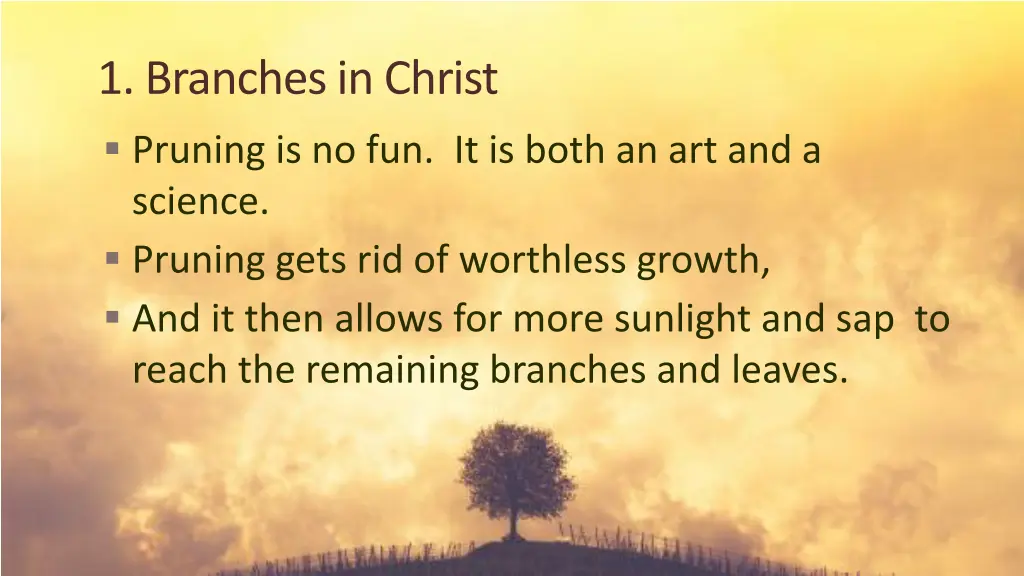 1 branches in christ pruning is no fun it is both