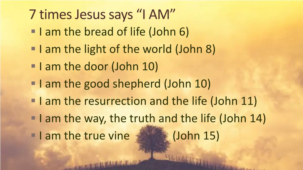 7 times jesus says i am i am the bread of life