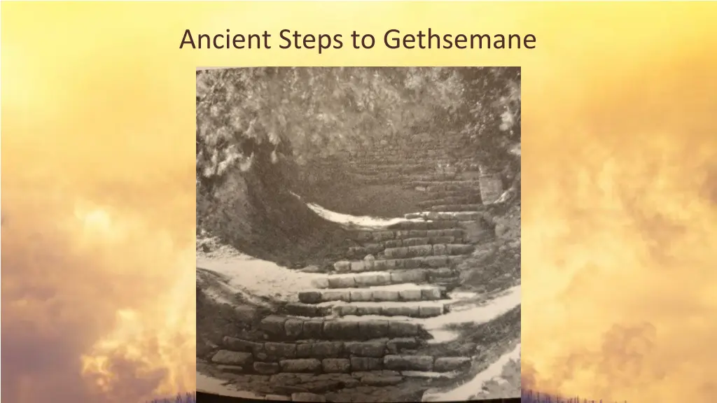 ancient steps to gethsemane