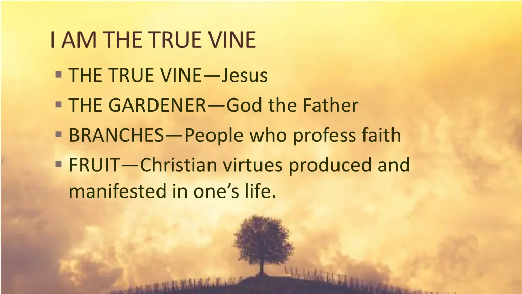 i am the true vine the true vine jesus