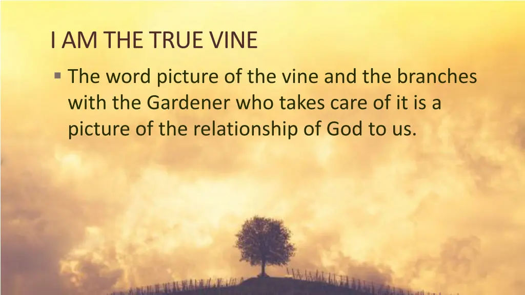 i am the true vine the word picture of the vine