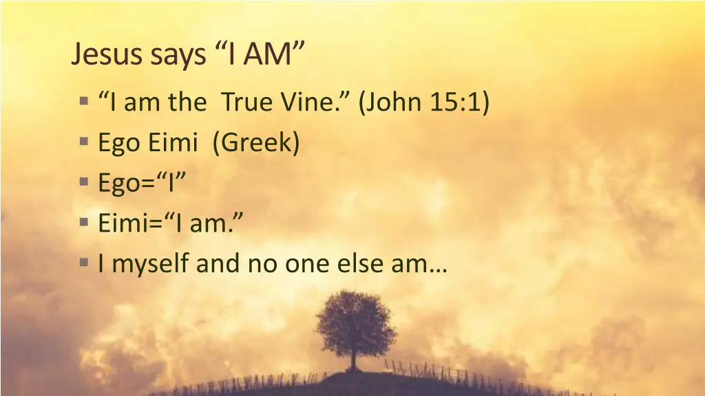 jesus says i am i am the true vine john