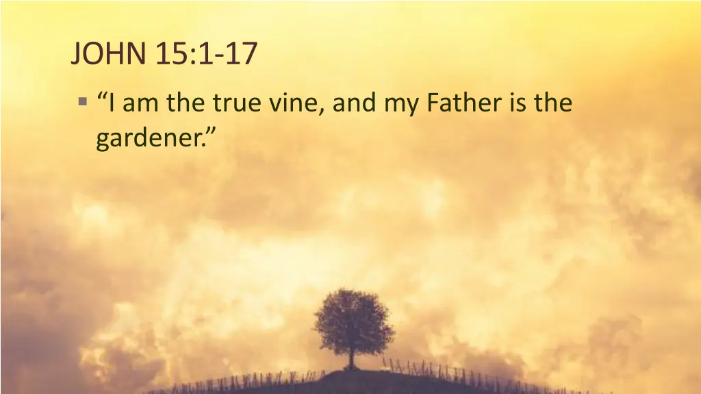 john 15 1 17 i am the true vine and my father