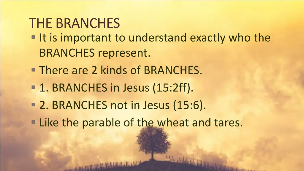 the branches it is important to understand